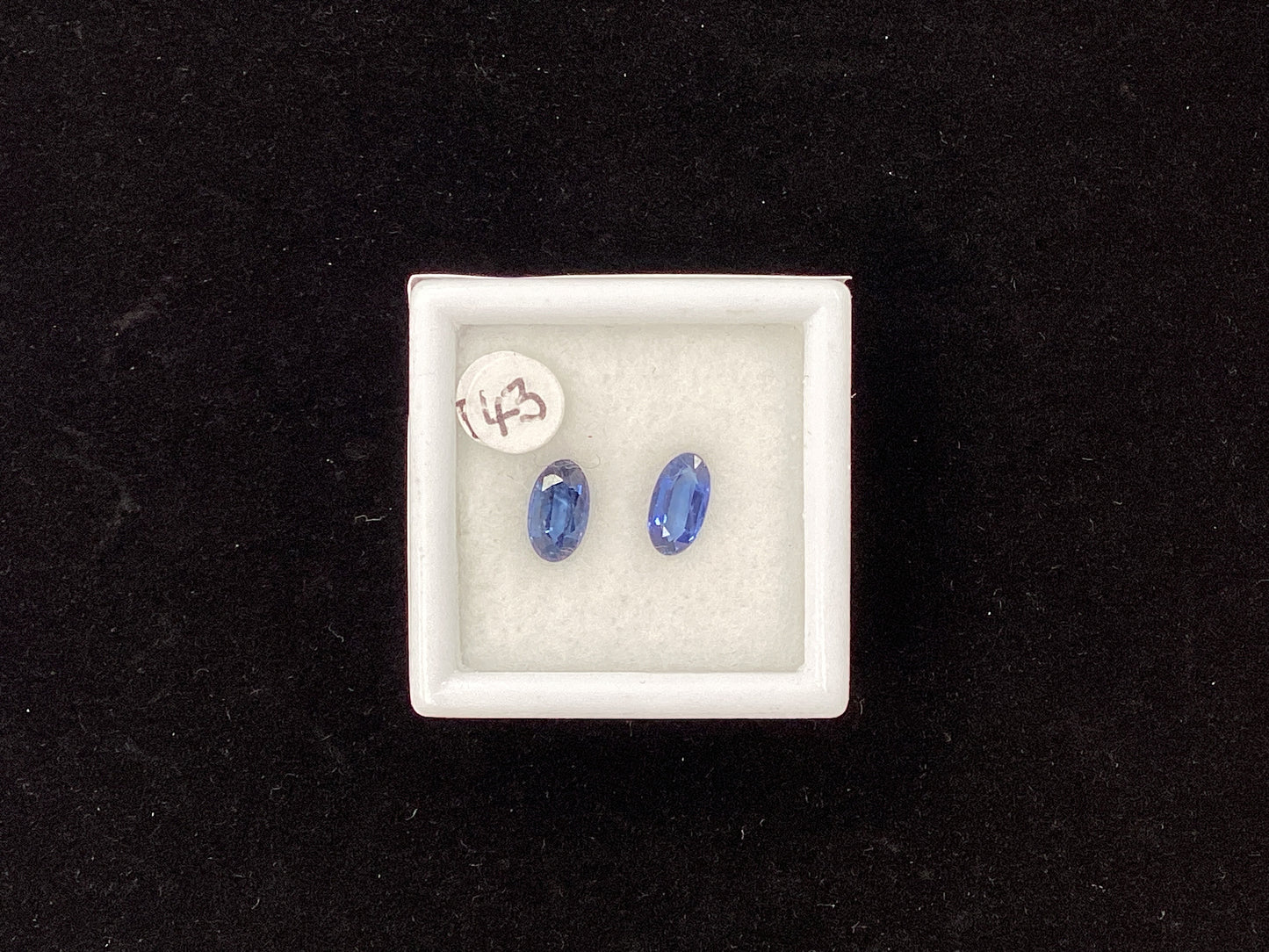 Pair of Oval Blue Sapphire B42