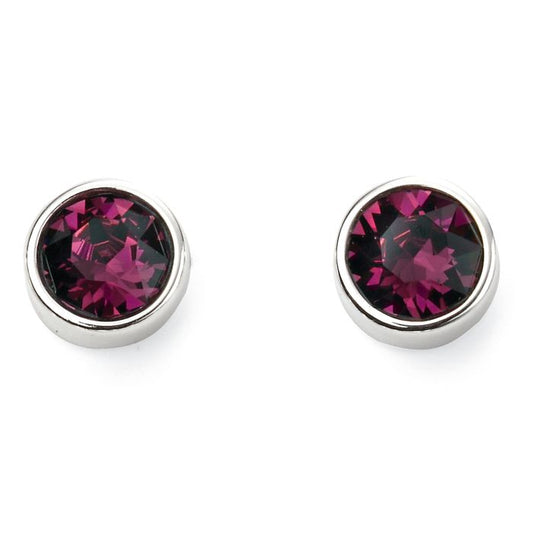 Sterling Silver Febuary Crystal Earring