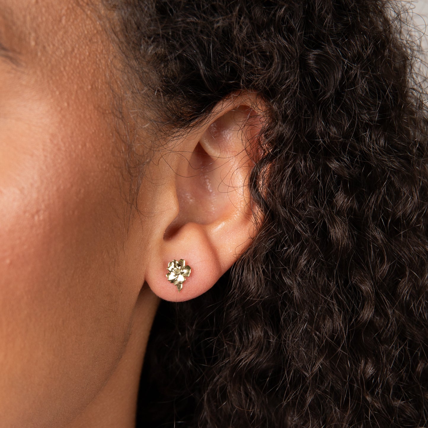 Laura Ashley Albertine Gold Tone Earrings