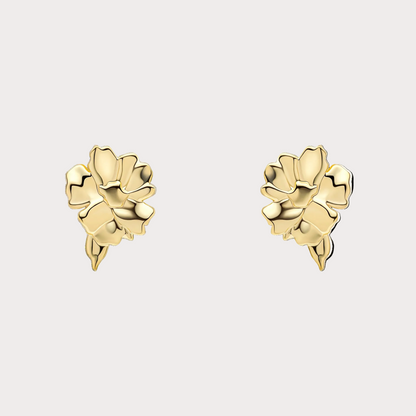 Laura Ashley Albertine Gold Tone Earrings