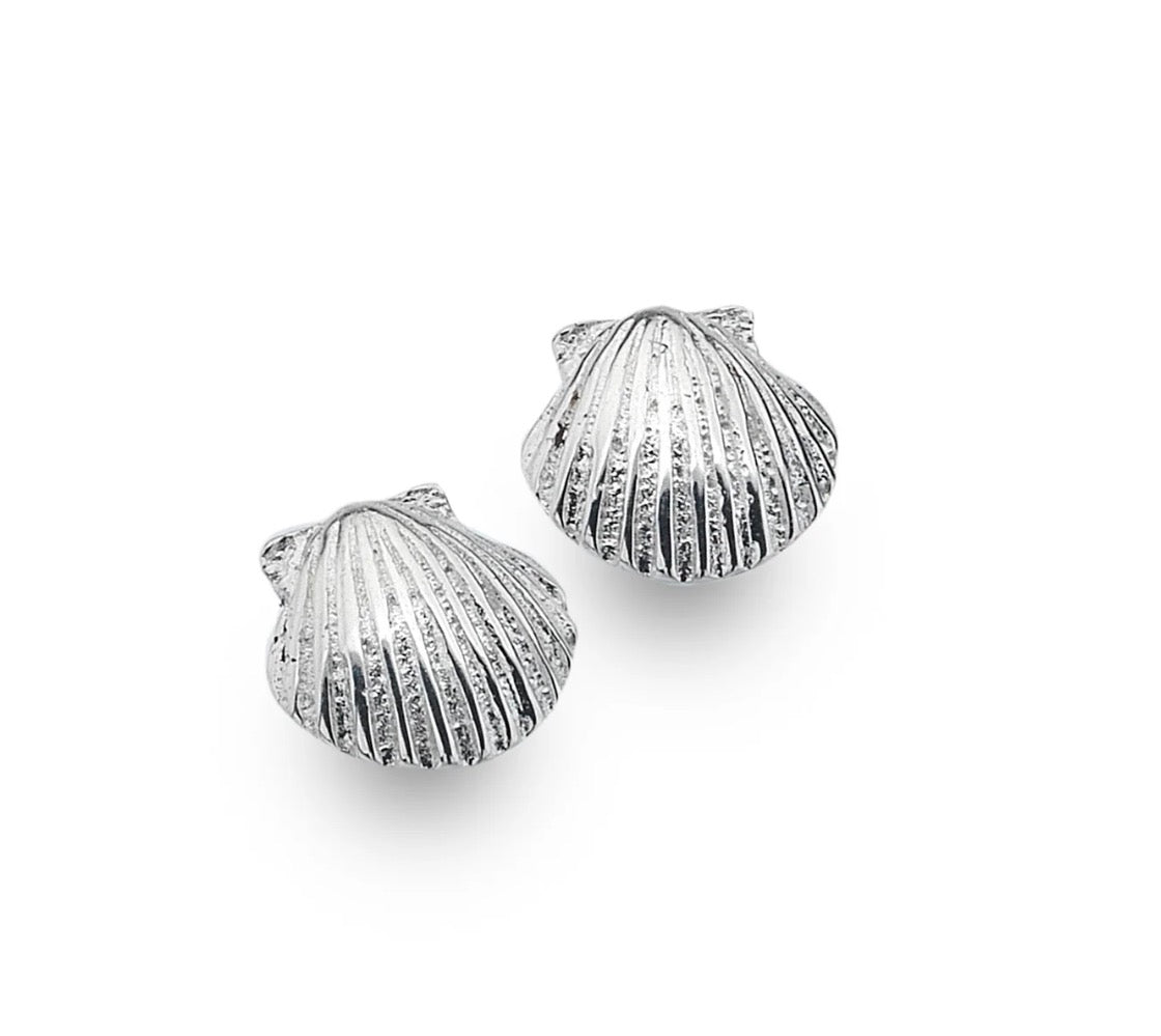Origins Small Scallop Shell Stud Earrings