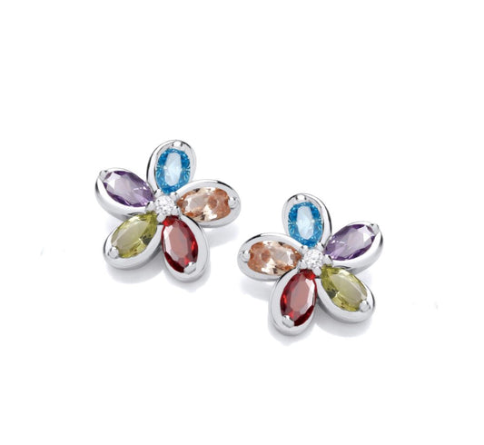 Sterling Silver Colour Of The Rainbow Earrings