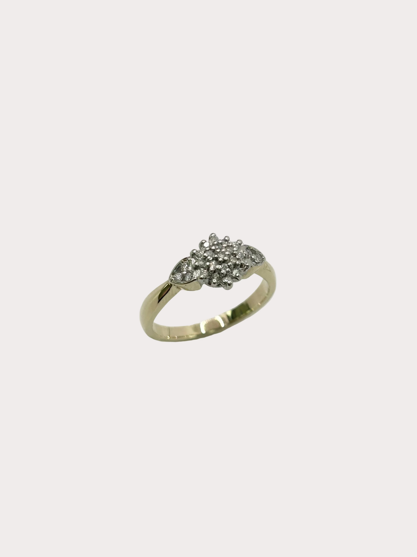 9ct Yellow and White Gold Cluster Ring