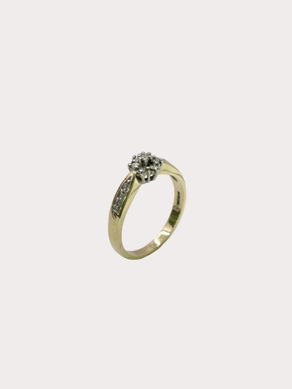 9ct Diamond Ring
