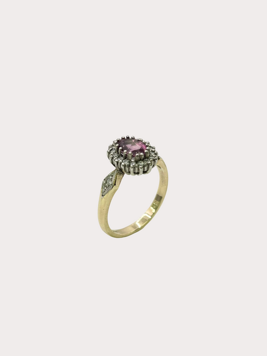 9CT Garnet and Diamond Halo Ring