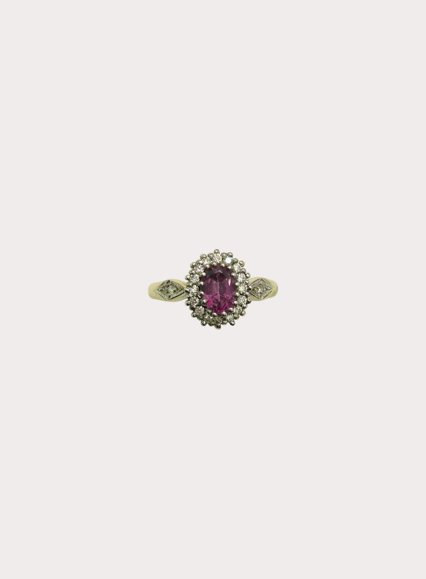 9CT Garnet and Diamond Halo Ring