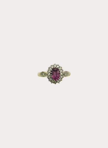 9CT Garnet and Diamond Halo Ring