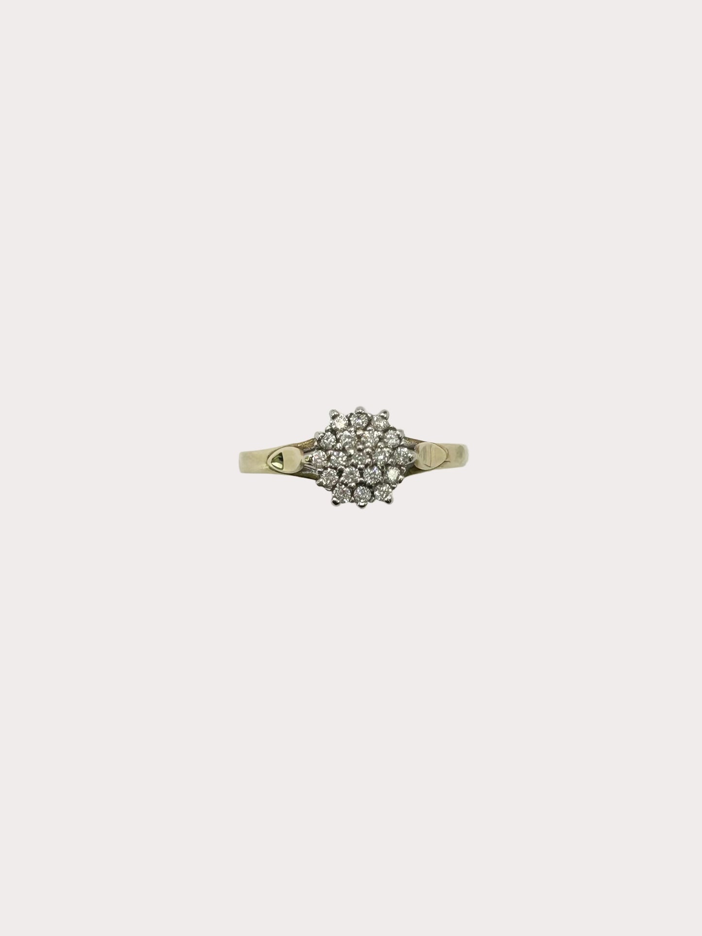 9ct Diamond Ring 46