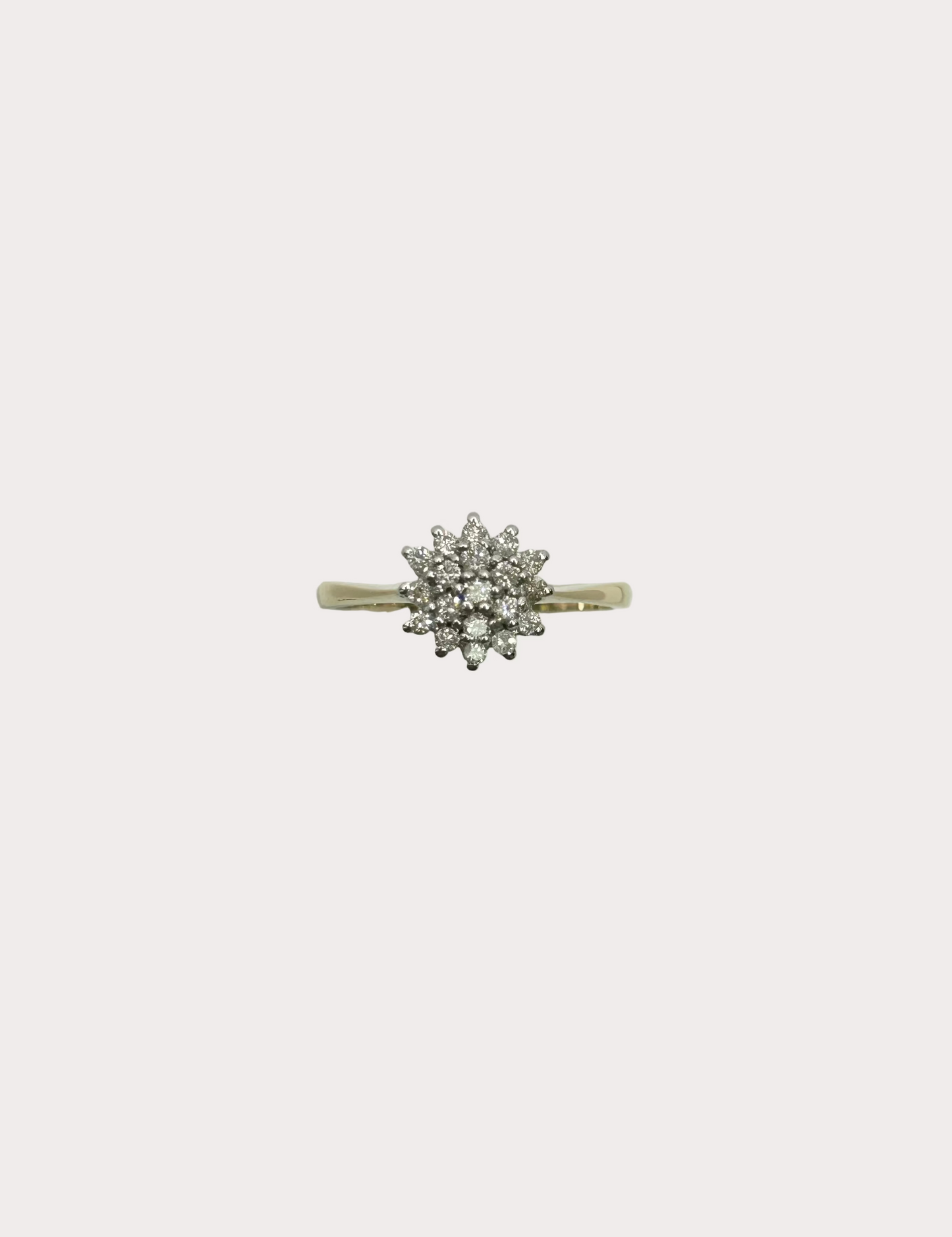 9ct Diamond Ring