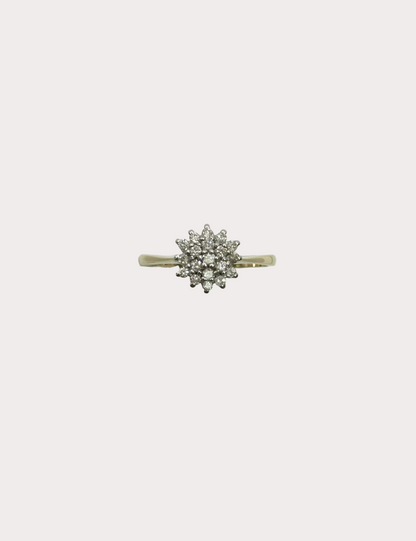9ct Diamond Ring